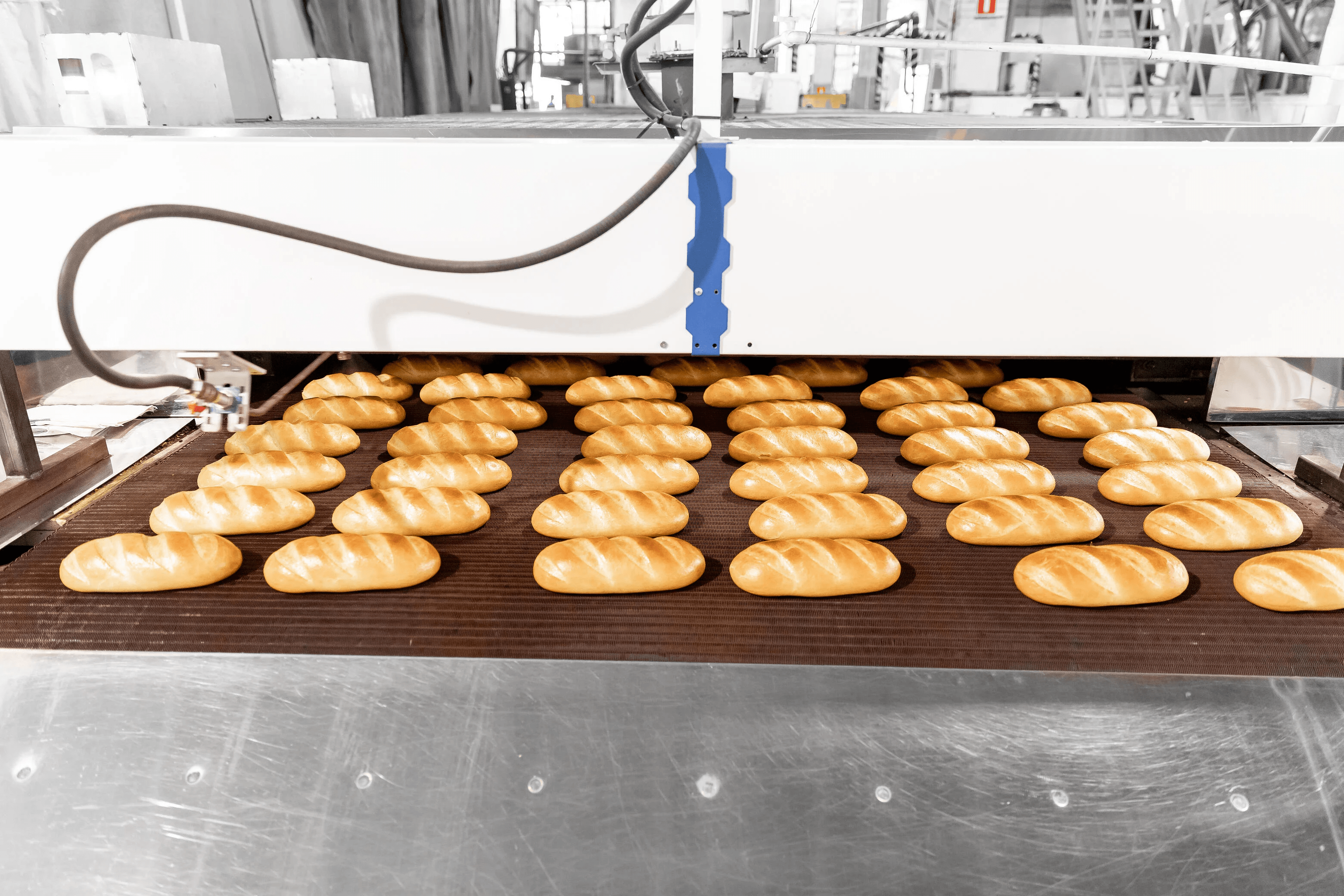 media-machine-vision-ai